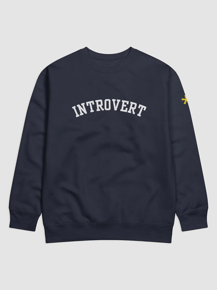 Introvert Premium Sweatshirt product image (1)