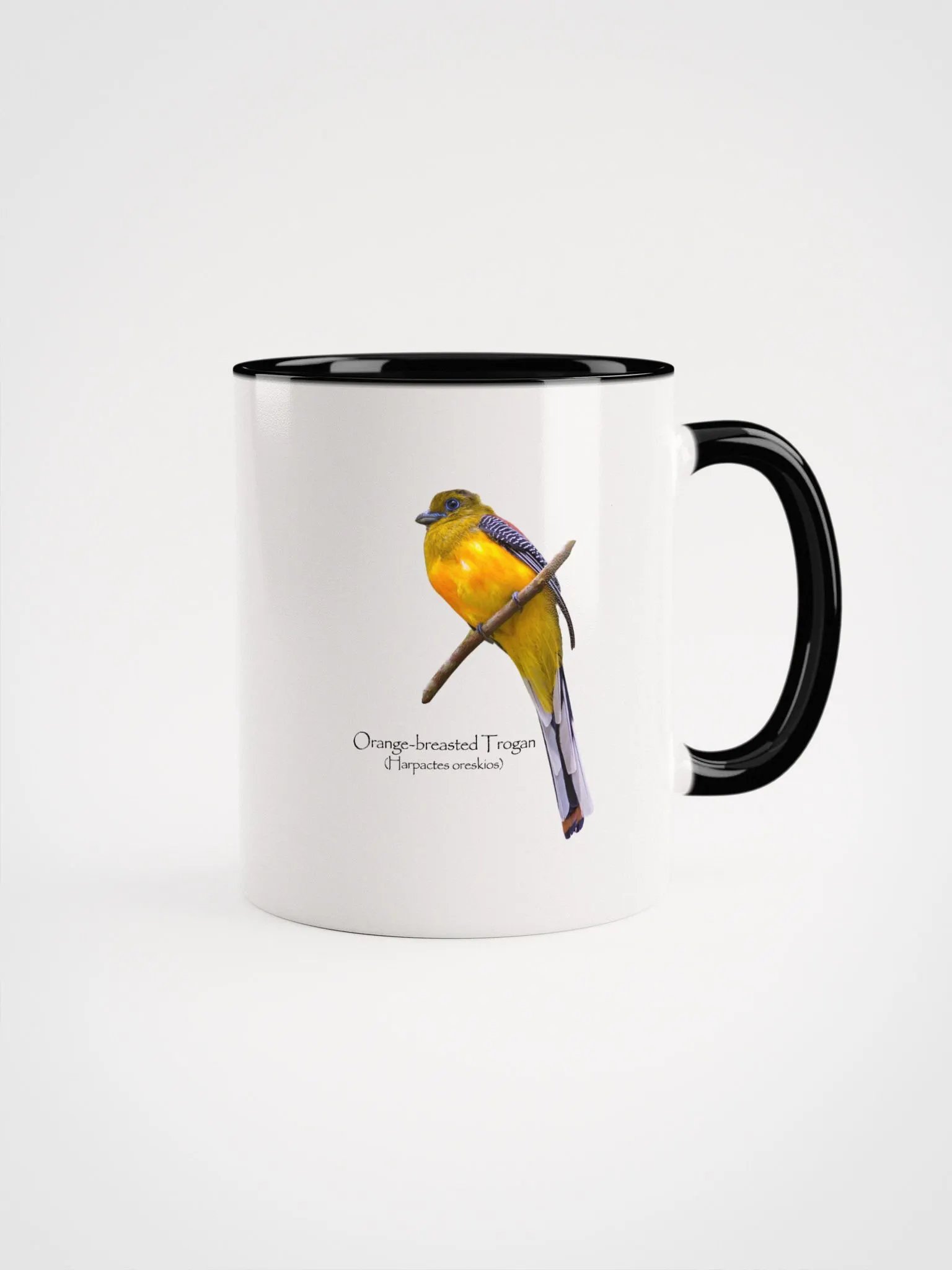 Orange-breasted Trogan mug product image (5)