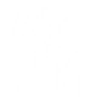 New Things Clothing