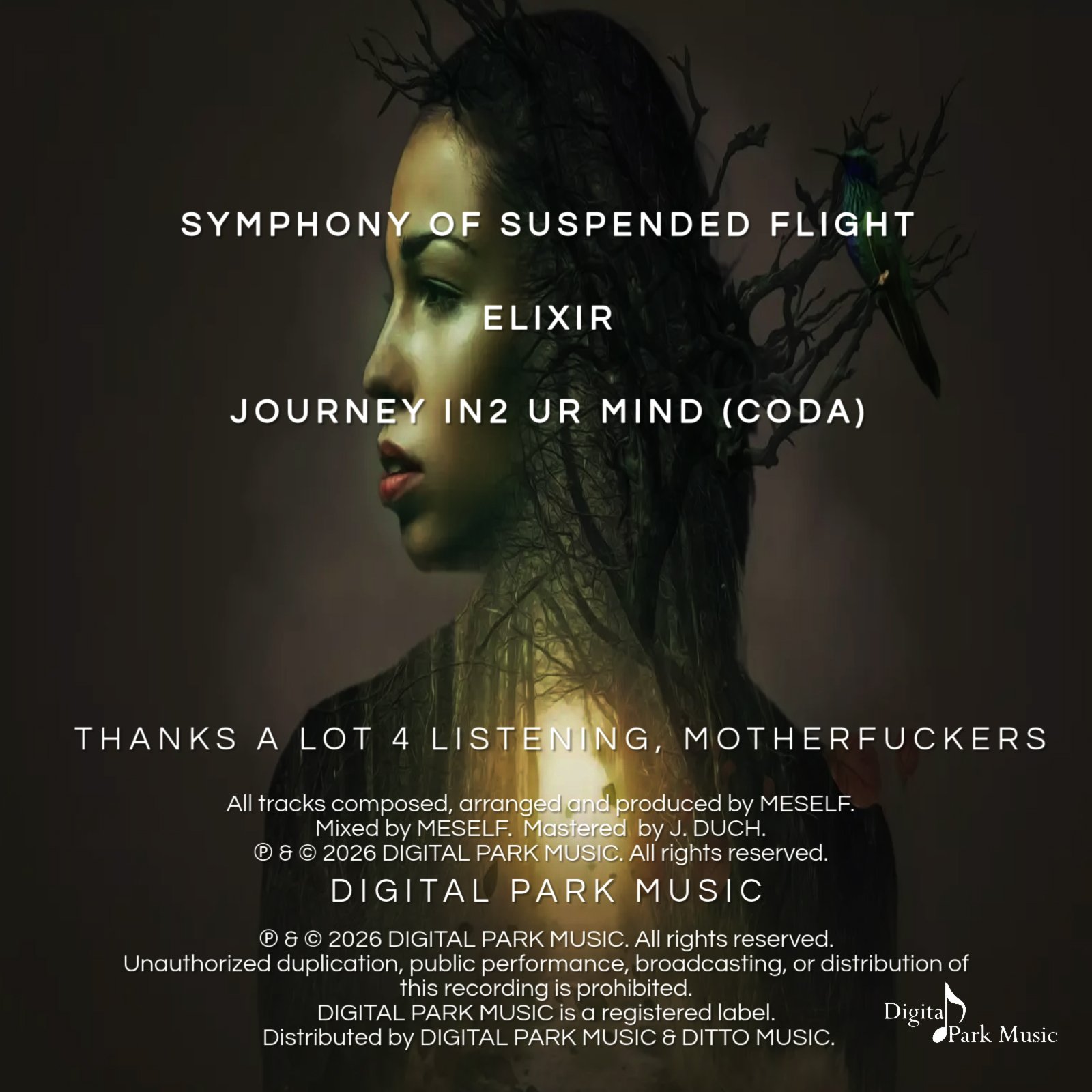 Symphony Of Suspended Flight (Meself) product image (2)