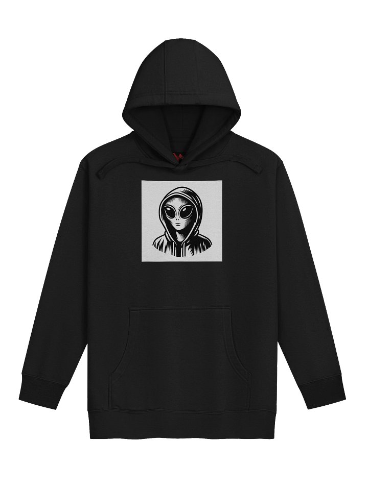 ?? product image (1)