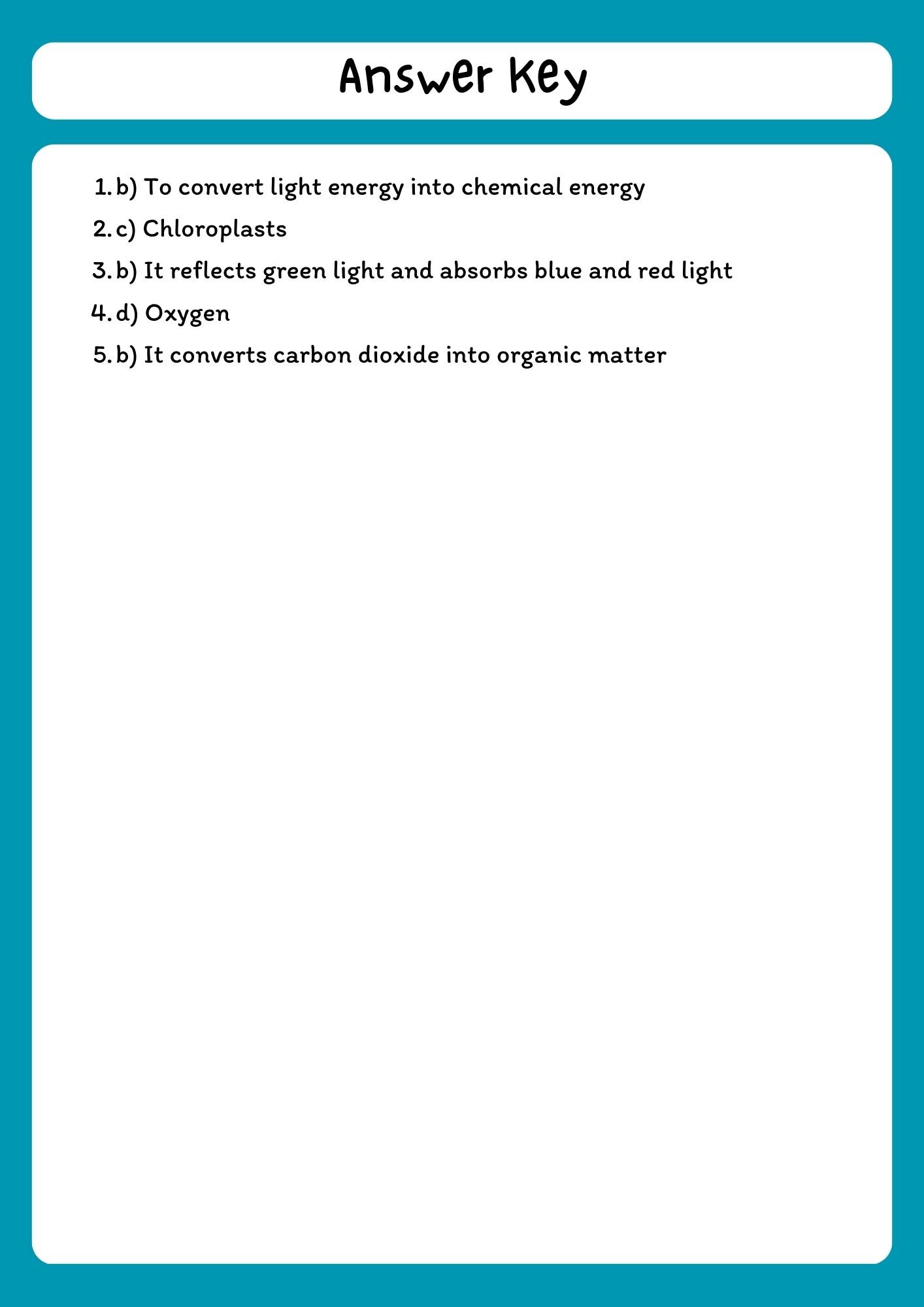 Photosynthesis Reading Comprehension Passage with Questions (PDF Download) product image (3)