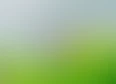 Urdu's tag thumbnail