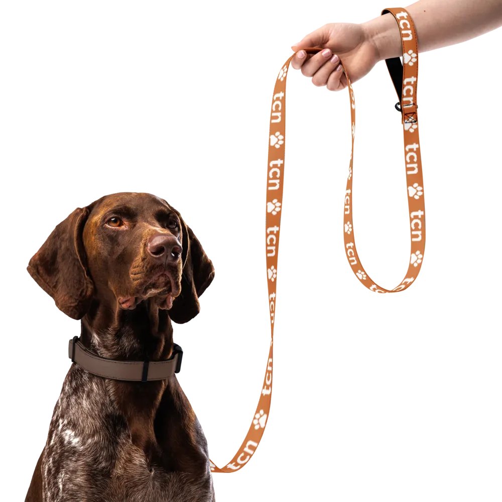 BEST FRIEND LEASH product image (4)