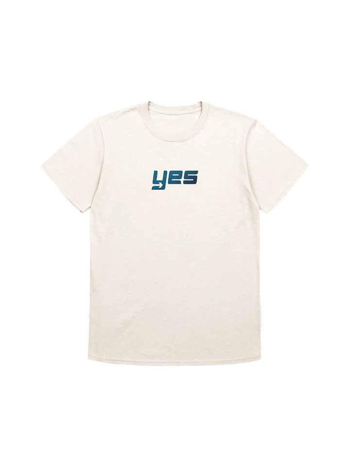 Say YES to what God has next product image (1)