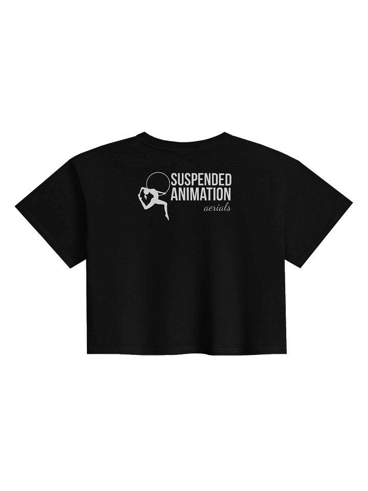 Aerialist Crop Top product image (2)
