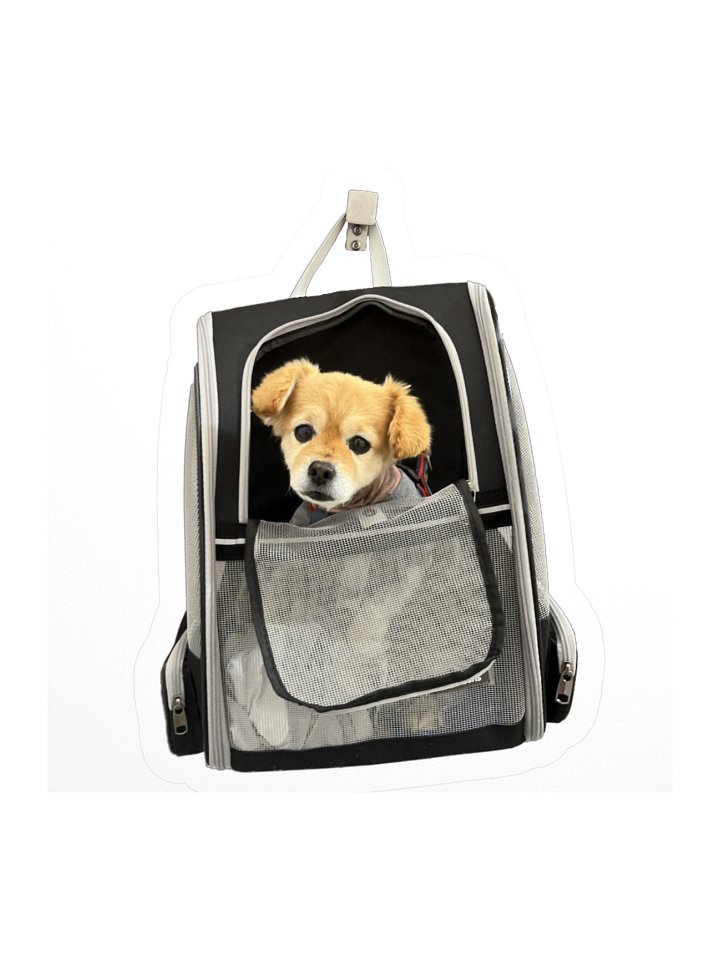 Carry Way Onward Son product image (1)