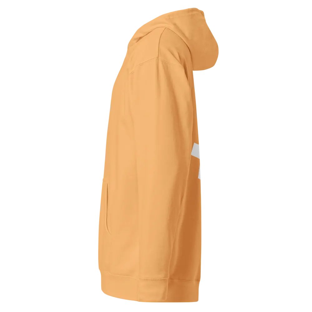 Embroidered ₿itcoin Orange-Peach Hoody product image (10)