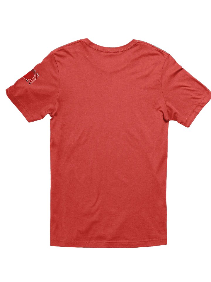 Ruidus Born - Shirt product image (2)