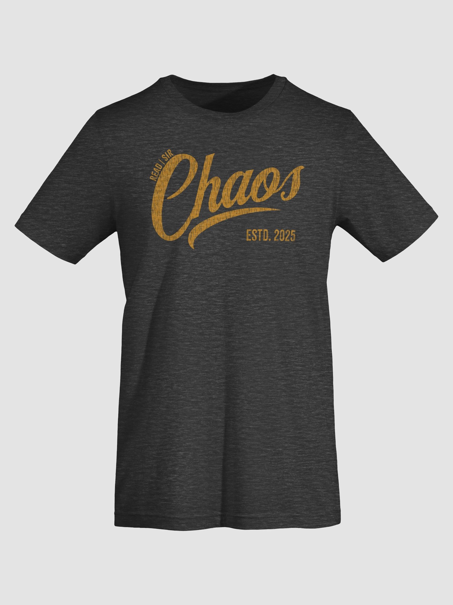 Read | Sir Chaos T-Shirt product image (65)