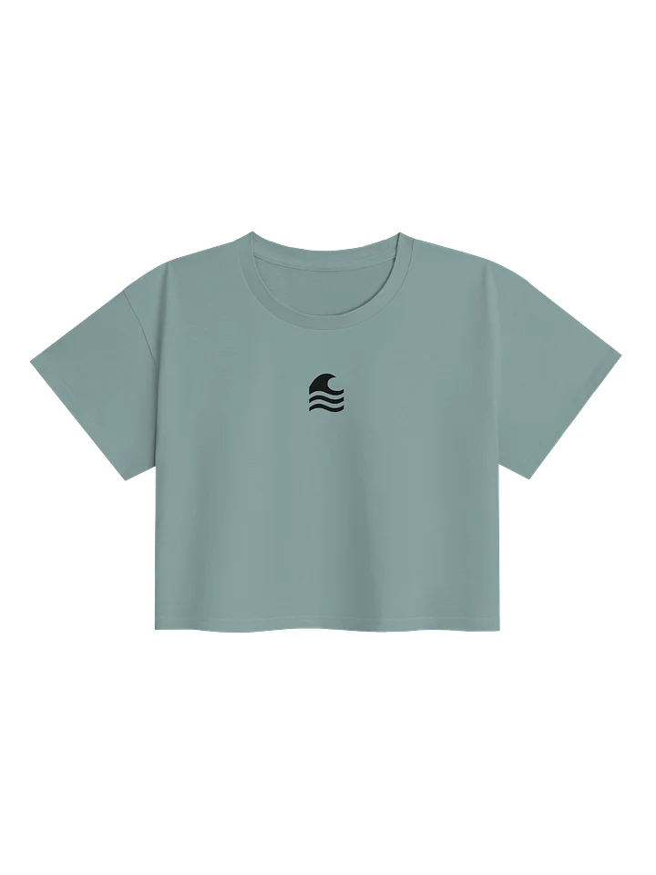 Wake Explorer Decal Logo Croptop product image (6)