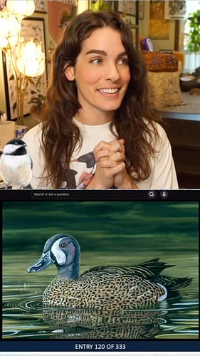still not sure this really happened but today my Federal Duck Stamp painting got THREE IN VOTES and is moving on to the next ...