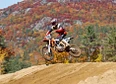 Suzuki's tag thumbnail