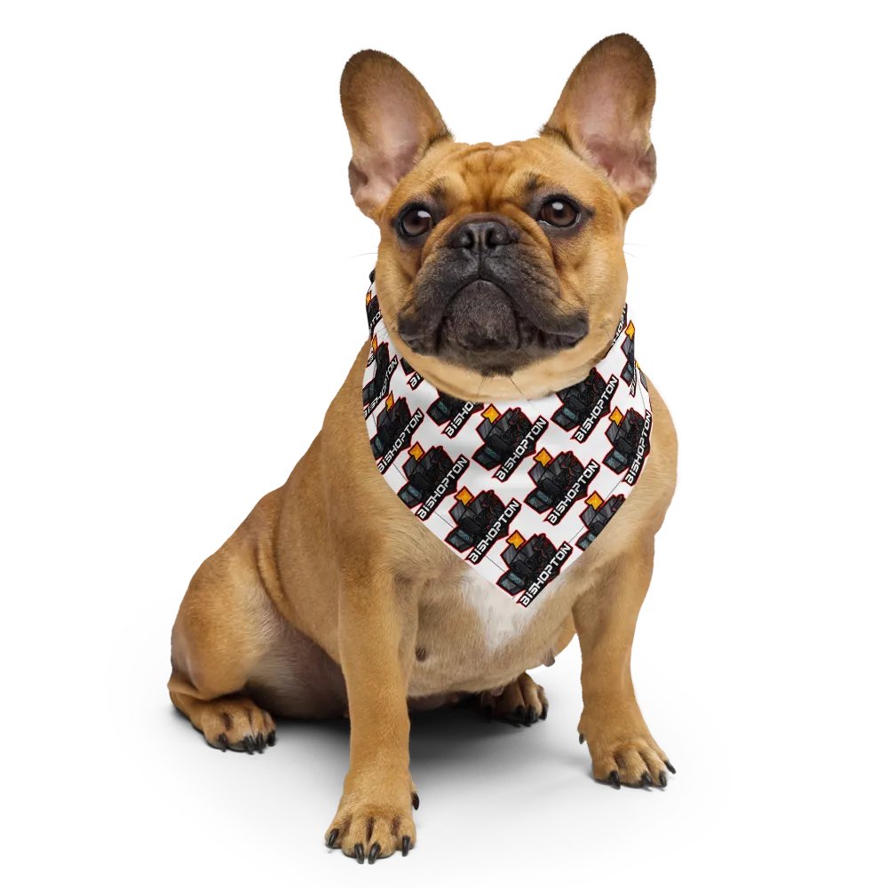 Logo Bandana product image (6)