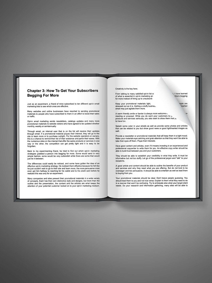 Email Marketing Hacks: Double Your List Growth in 2025 product image (2)