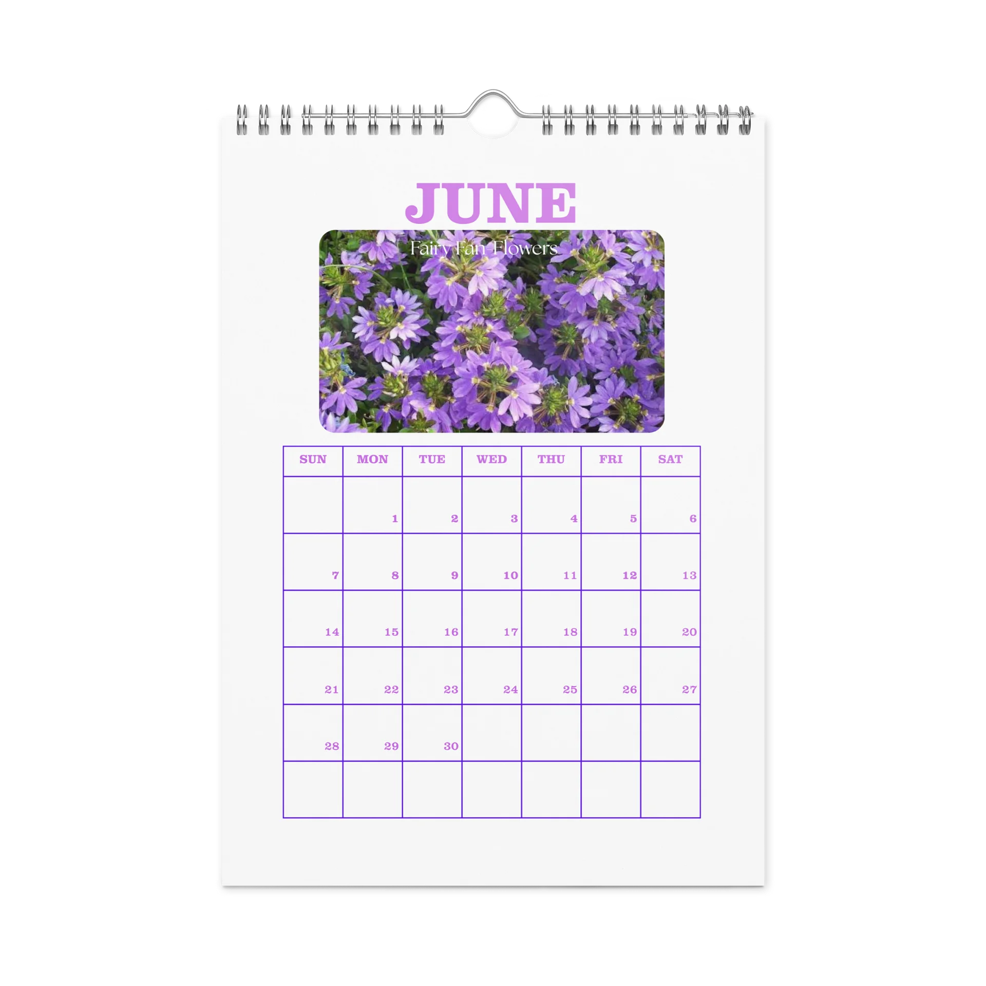 2027 - PRIDE WITH AUSTRALIAN NATIVE FLORA - Wall Calendar product image (8)