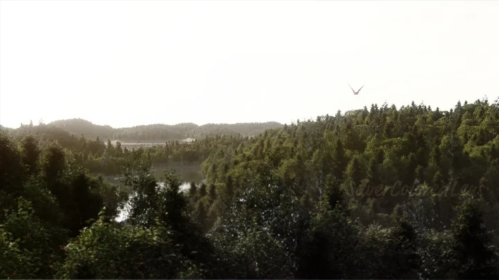 Realistic Aerial Forest Scene product image (1)