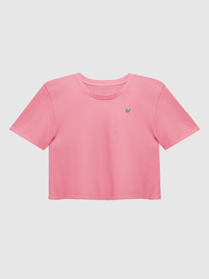 CS Crop Top Tee product image (1)