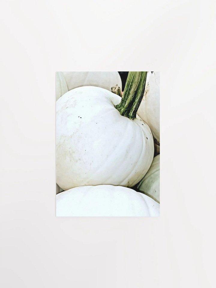 White Pumpkin product image (5)