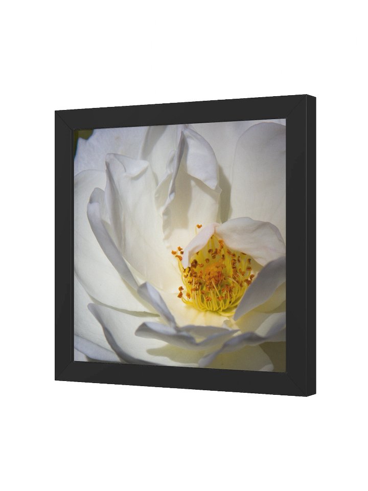 Shelter product image (6)