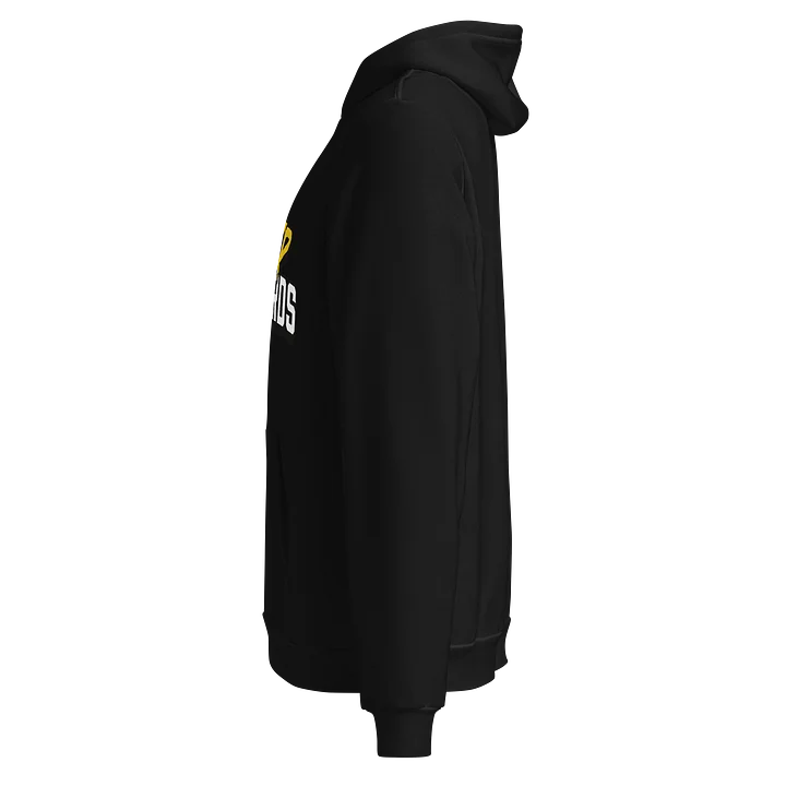BACKYARD TRY-HARDS Logo Retro Hoodie product image (2)