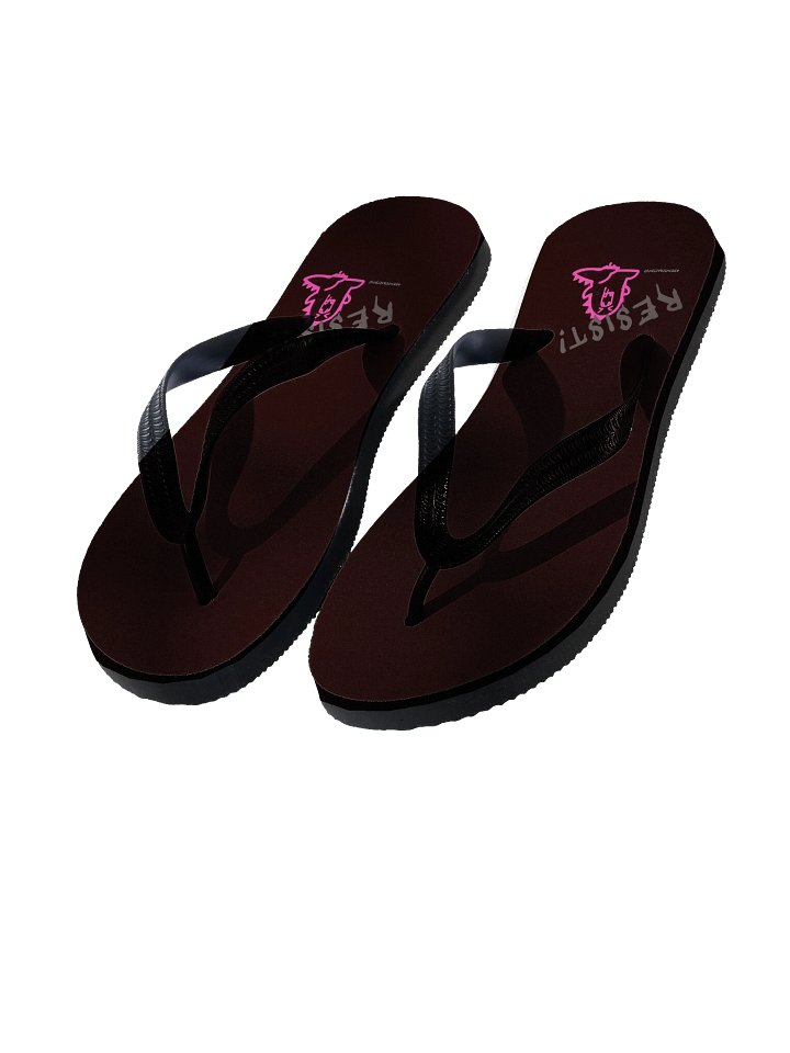 Official Democracy Dino Flip Flops product image (1)