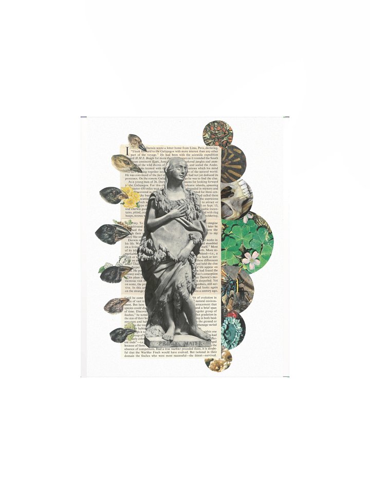 Darwin product image (1)