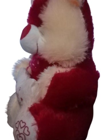 Small Taddy Bear product image (3)