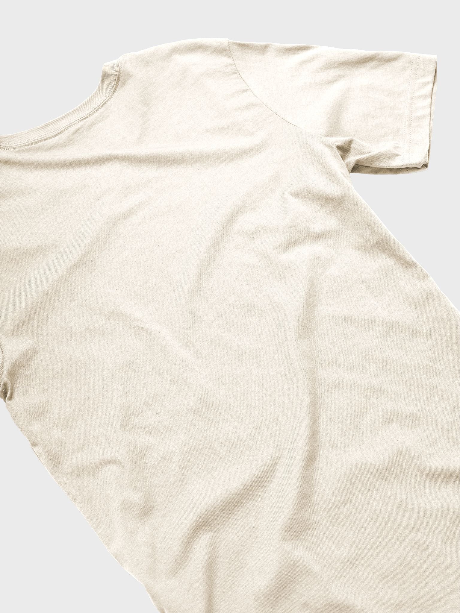 Fly Kicks 2 Premium T-Shirt product image (4)