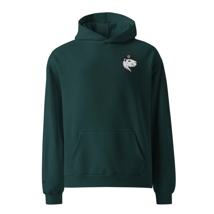 PoKa Symbio Hoodie - 2024 product image (23)