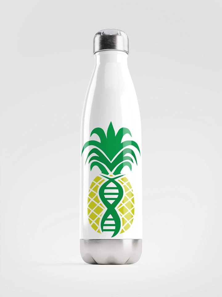 Health Optimization SS water bottle product image (1)
