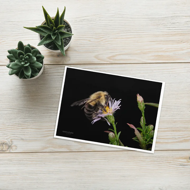 Bee Bliss Greeting Card product image (1)