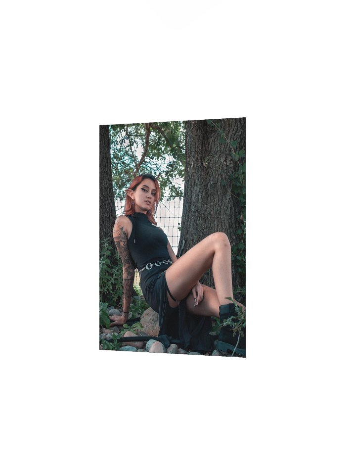 Elven Ali Poster 1 product image (4)