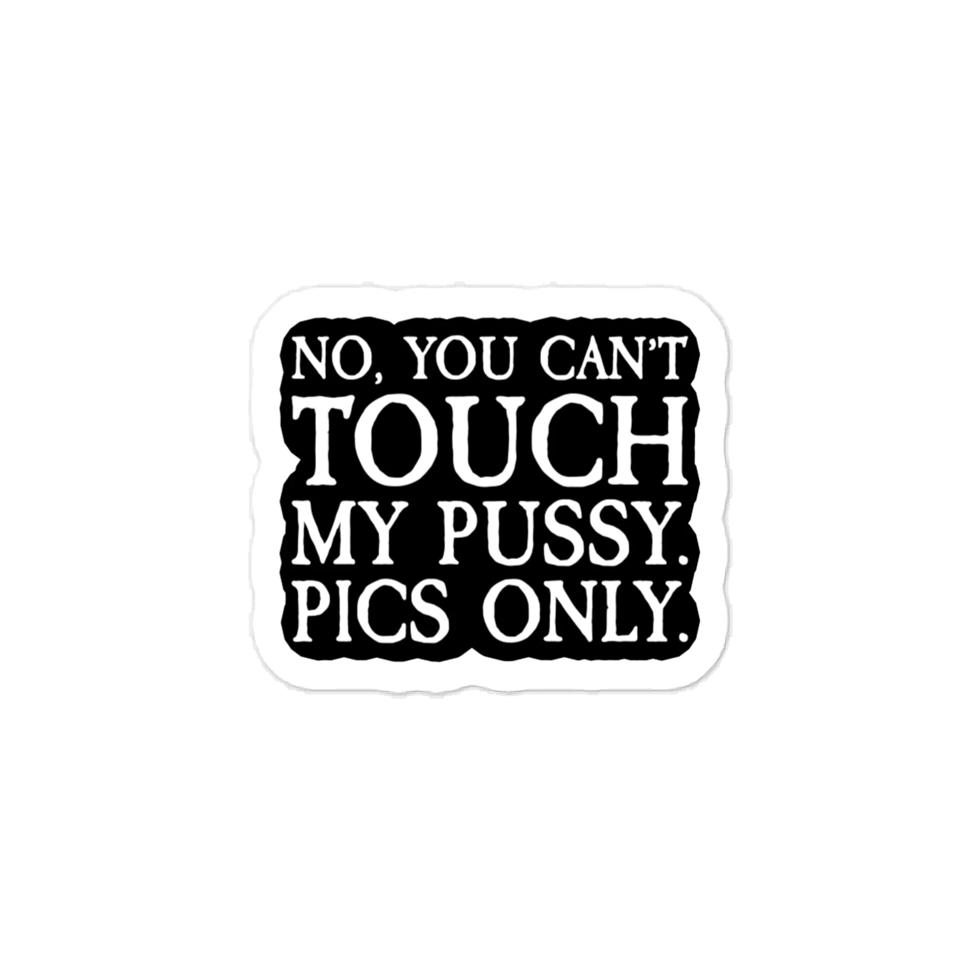 NO YOU CAN'T STICKER product image (1)