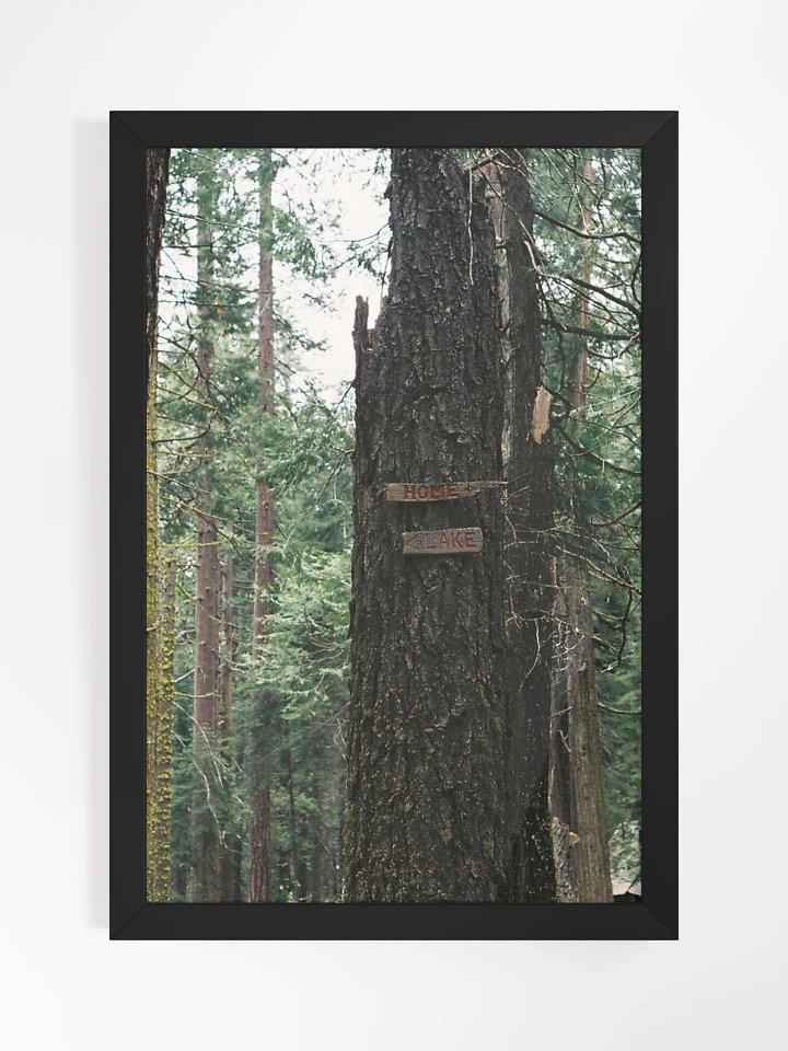 To Home - To Lake product image (1)