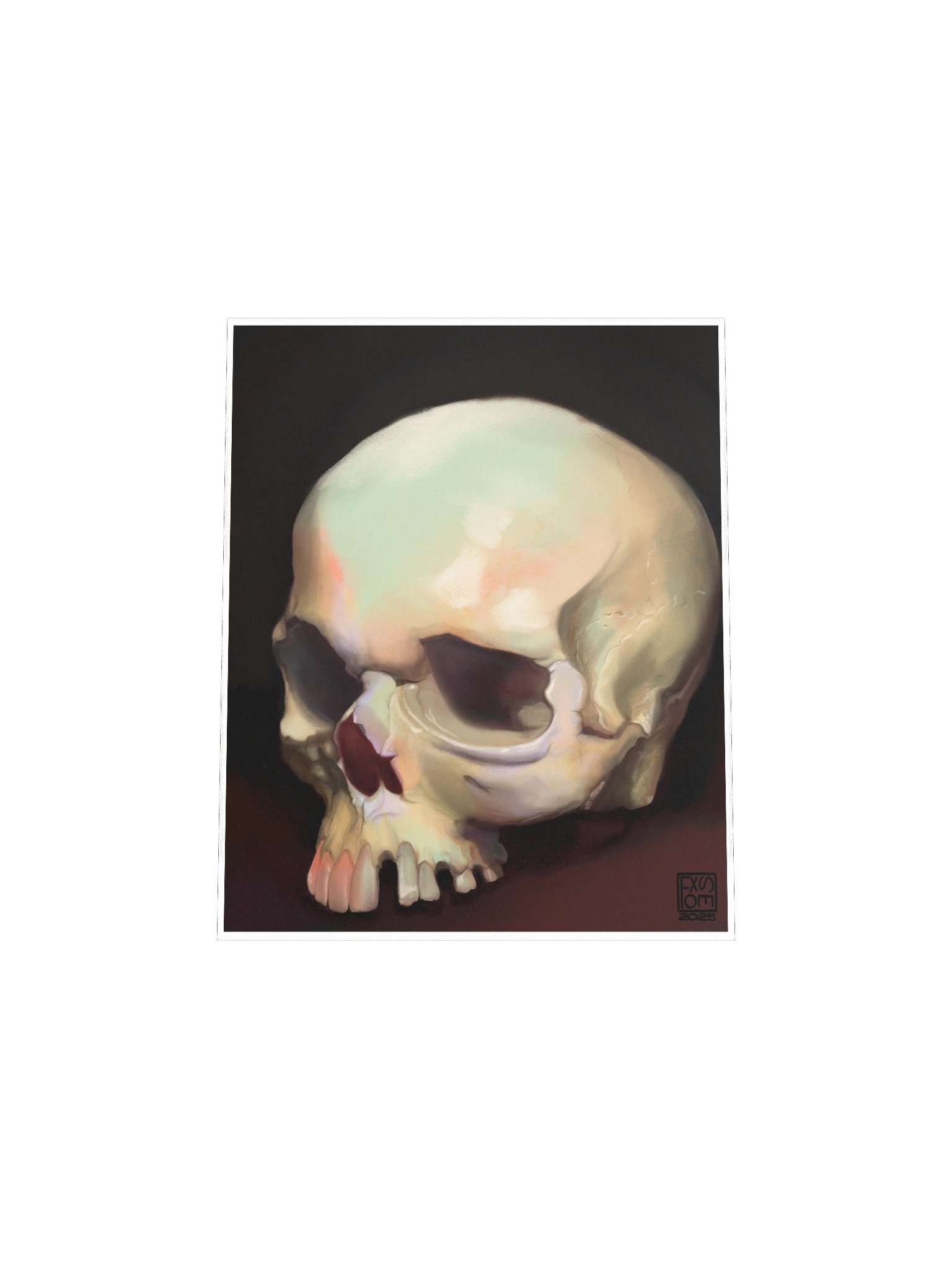 Skull Study product image (14)