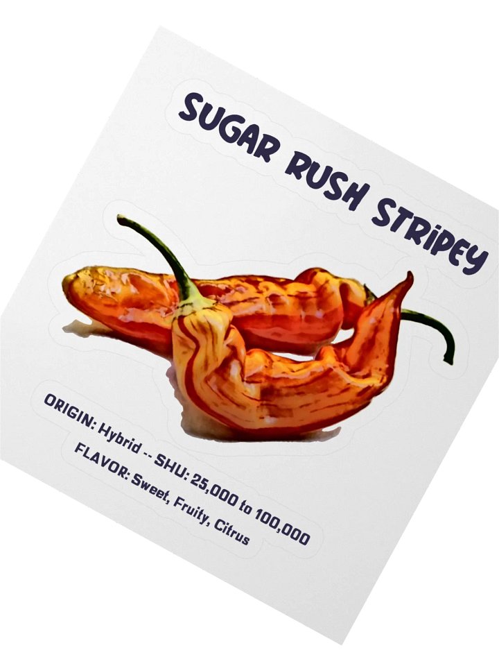 Sugar Rush Stripy Pepper Sticker product image (2)