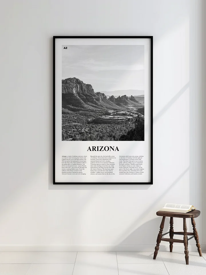 Arizona 01 Newspaper Poster product image (6)