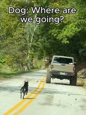 Dog said Where we going? 🐕😭 | Chop Chestnut Rd, KY @❌️robpurdon75❌️ @Ralph Wilson145 @❌Hillbilly Starship❌ @Sam’s Off-Road Garage Leon B. Jerry K. Ashley P. #woohoo #jeepclimb 