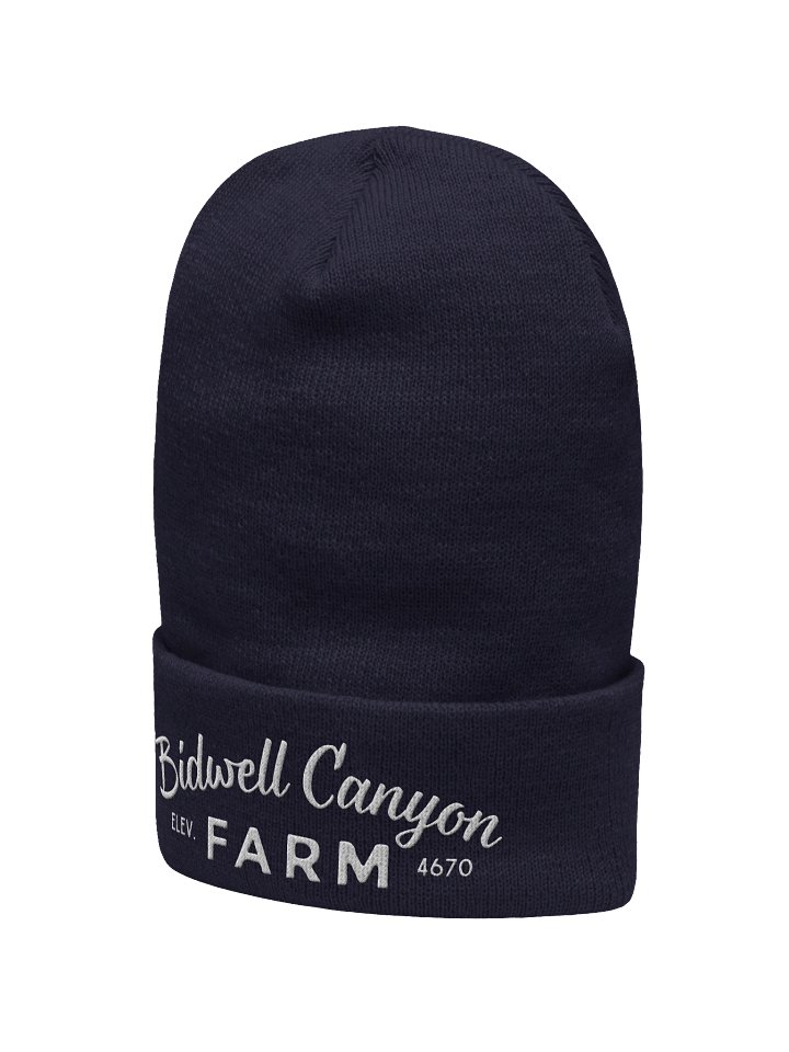 BCF Beenie product image (11)