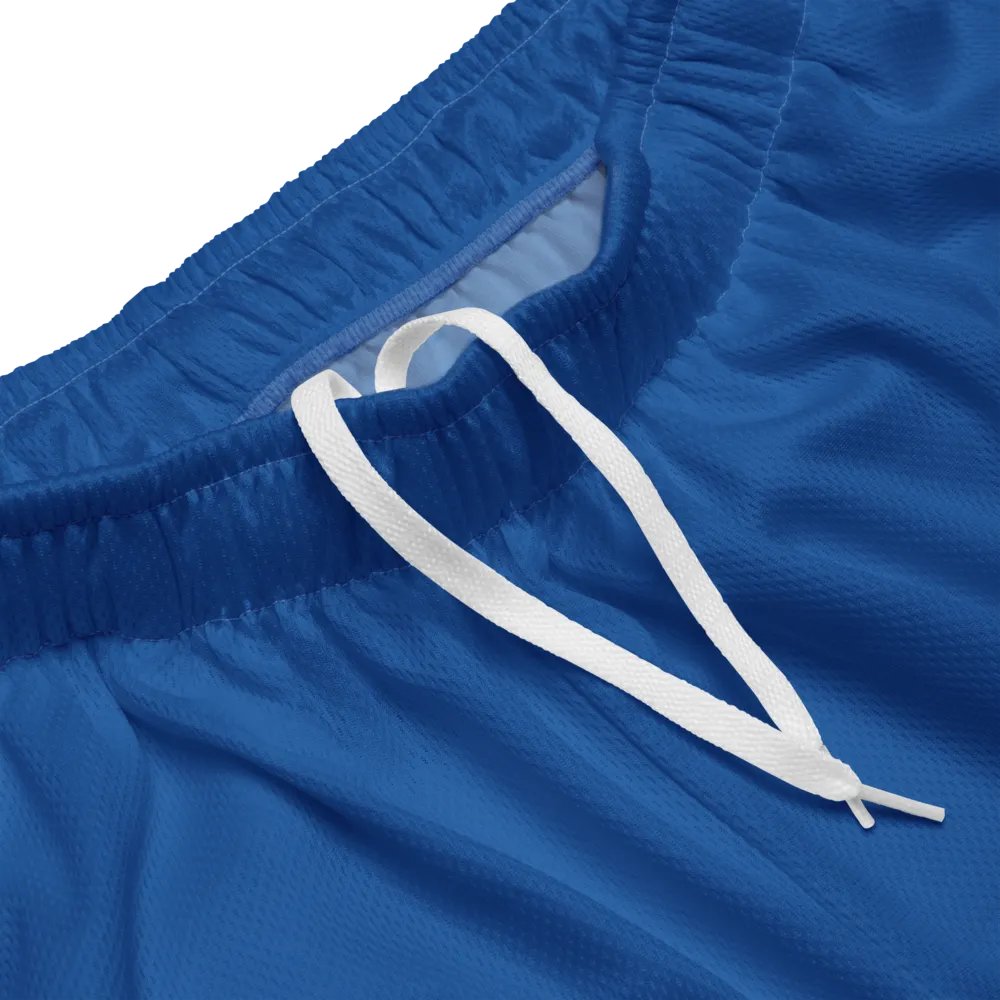 Athletic Shorts - Royal Blue product image (3)