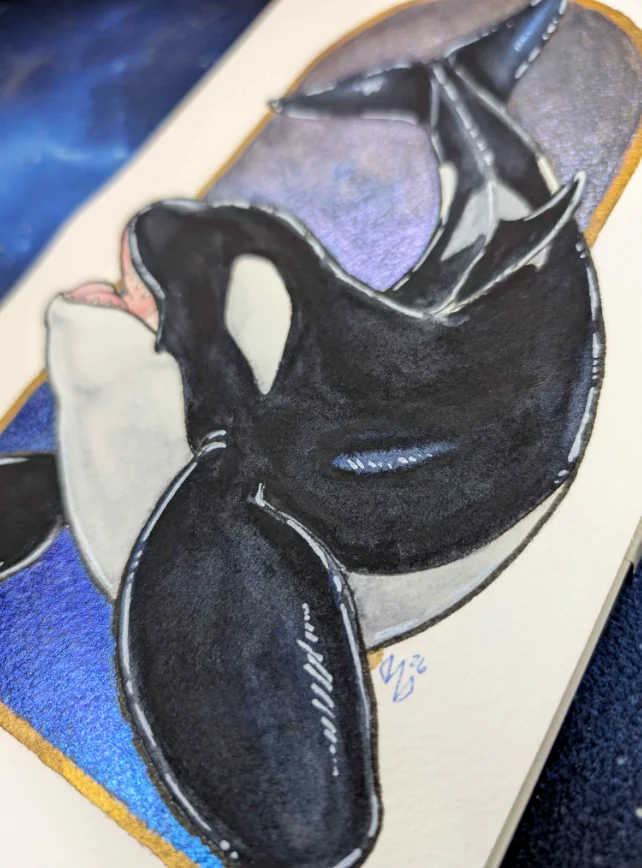 Orca Blue & Gold product image (2)