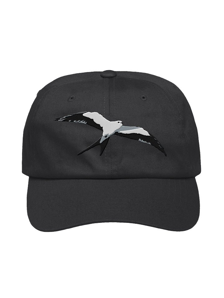 Swallow-tailed Kite Embroidered Hat | Bird of Prey Dad Cap | Wildlife Gift product image (6)