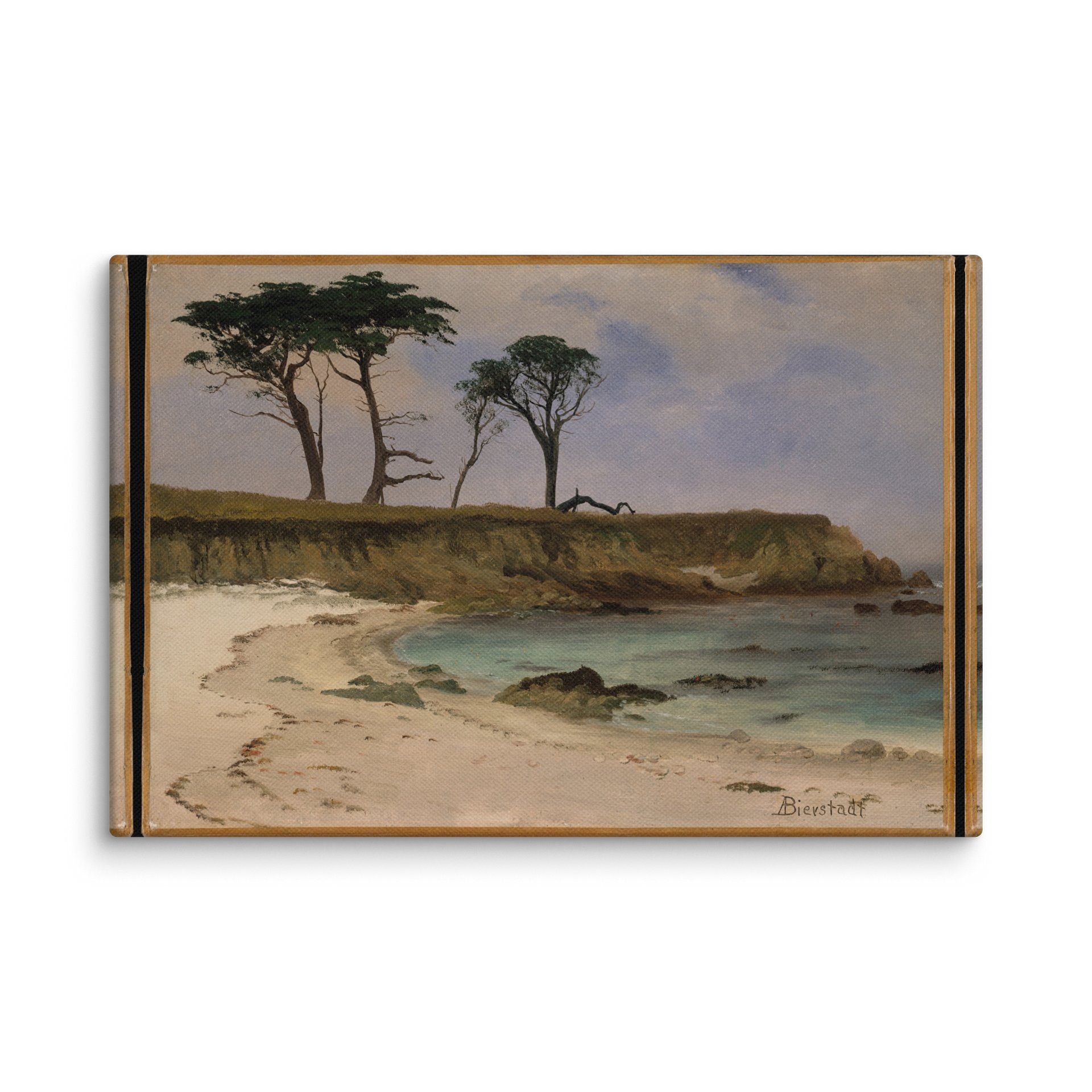 Sea Cove (Albert Bierstadt) Canvas product image (2)