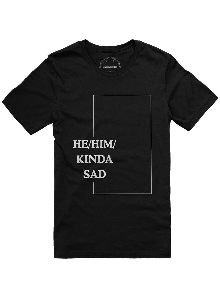 He/Him/Kinda Sad Tee product image (1)