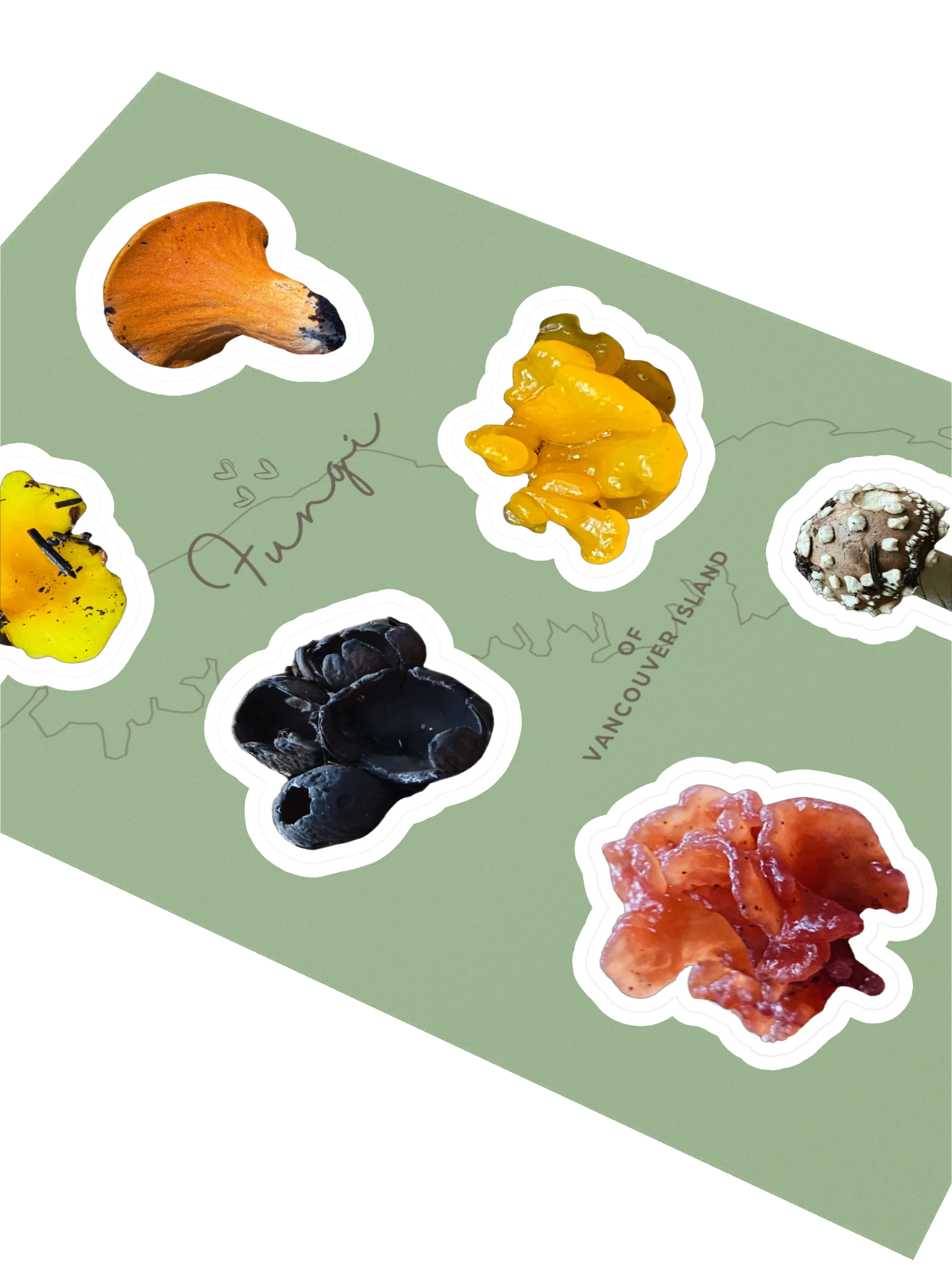 Fungi Sticker Sheet 1 product image (3)