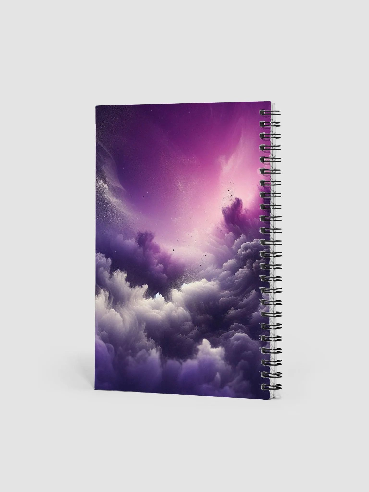 21st Century Journal product image (2)