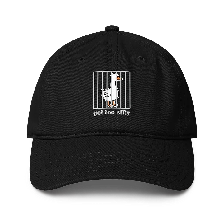 Got Too Silly Cap product image (1)