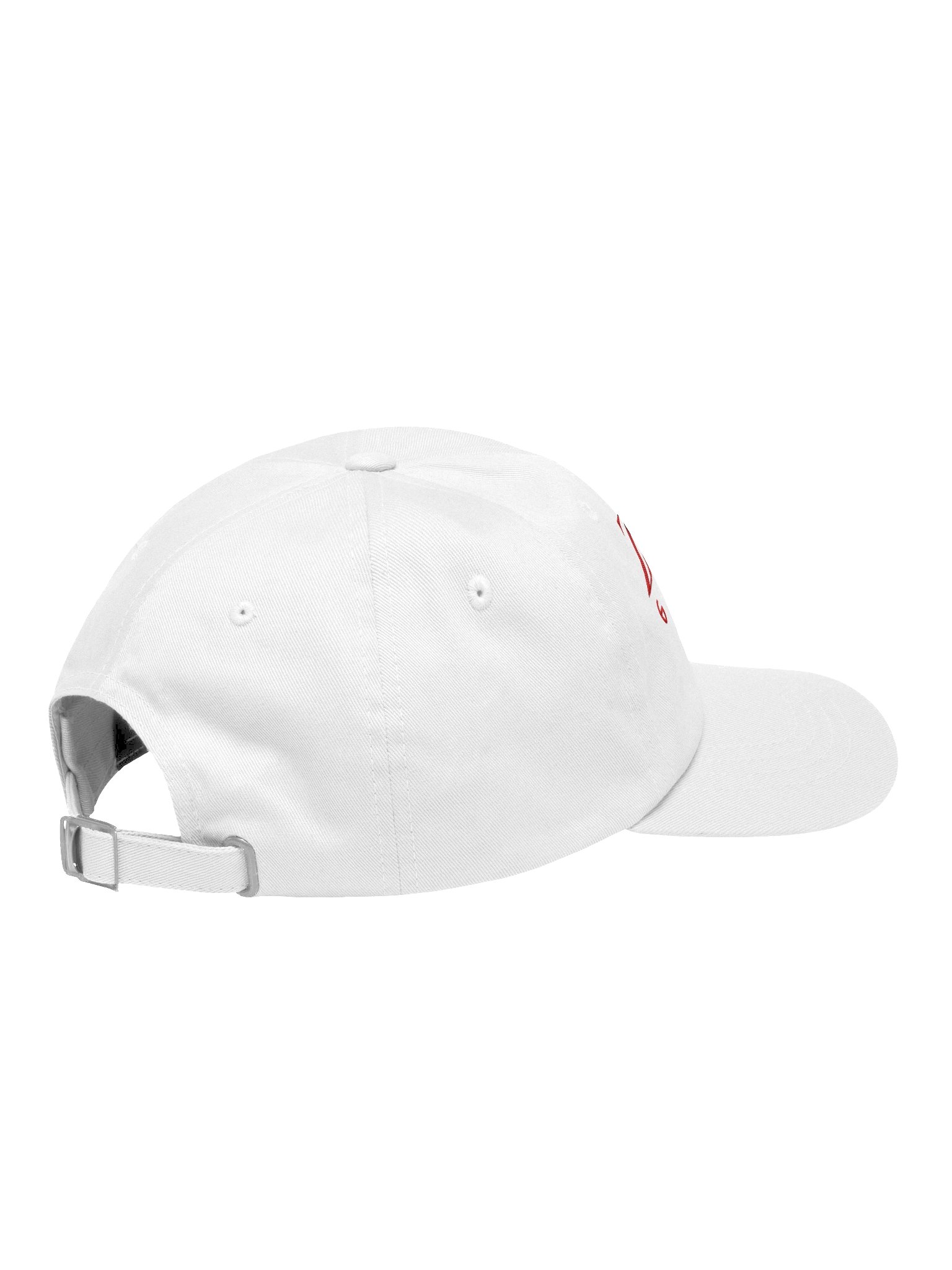 Zenkai Dad Hat product image (4)