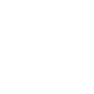 Dark Wing Racing